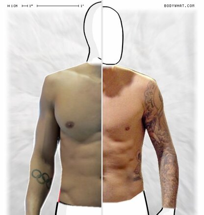 Torso Comparison