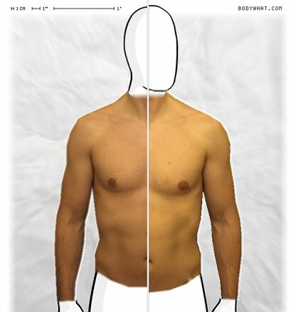 Torso Comparison