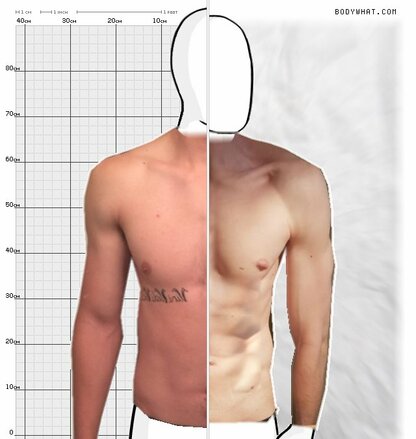 Torso Comparison