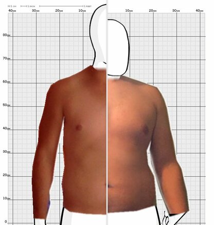 Torso Comparison