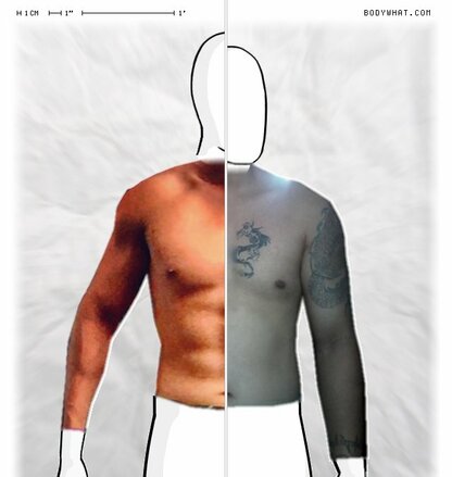 Torso Comparison