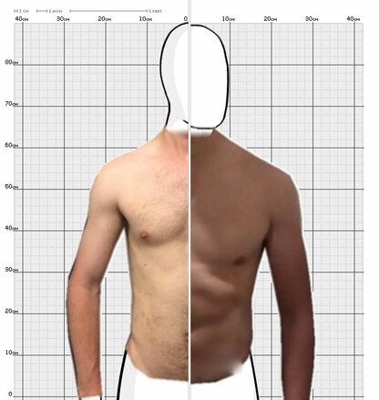 Torso Comparison