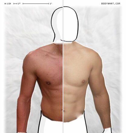 Torso Comparison