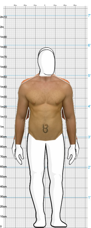 Full Size Comparison