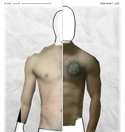 Torso Comparison