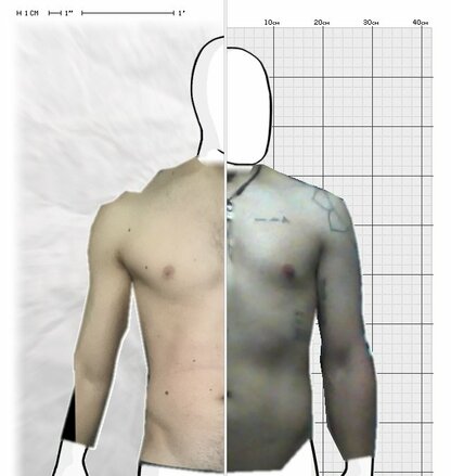 Torso Comparison