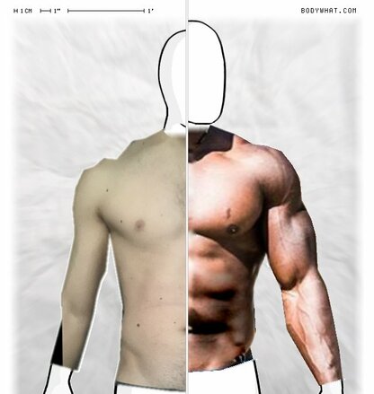 Torso Comparison