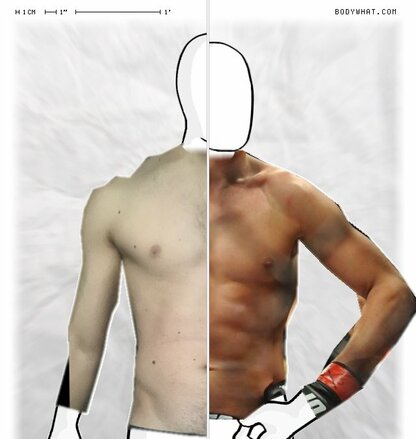 Torso Comparison