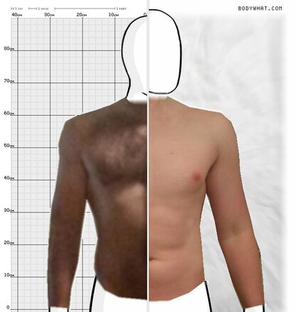 Torso Comparison