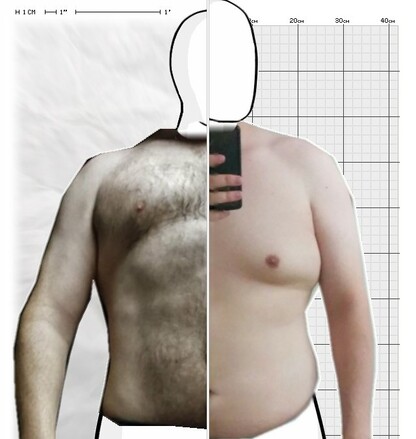 Torso Comparison