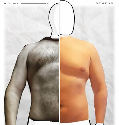 Torso Comparison