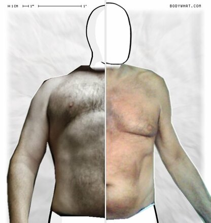 Torso Comparison