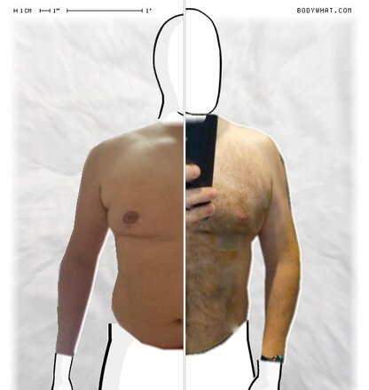 Torso Comparison