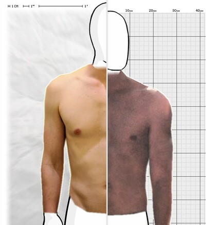 Torso Comparison