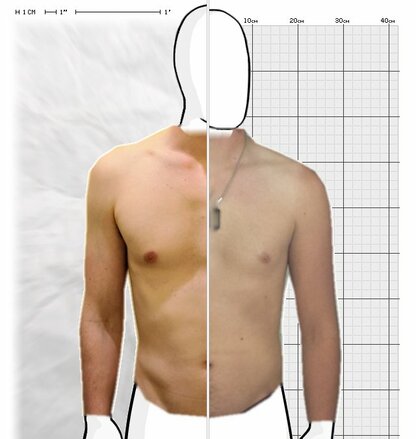 Torso Comparison