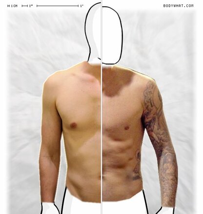 Torso Comparison