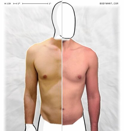 Torso Comparison