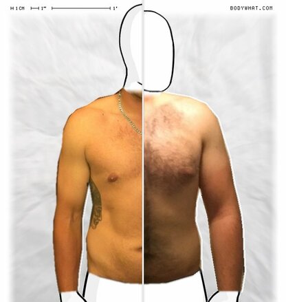 Torso Comparison