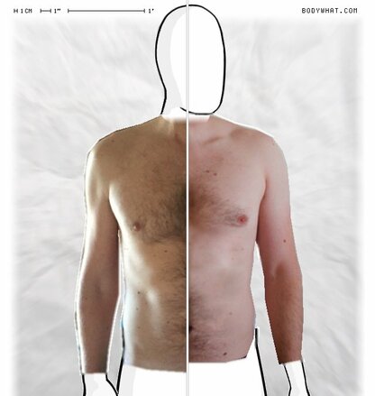 Torso Comparison