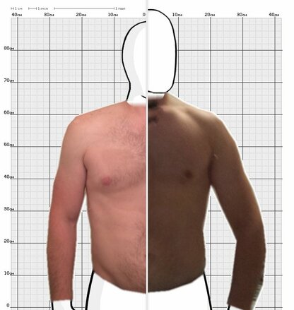 Torso Comparison