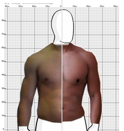 Torso Comparison