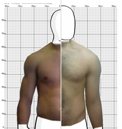 Torso Comparison