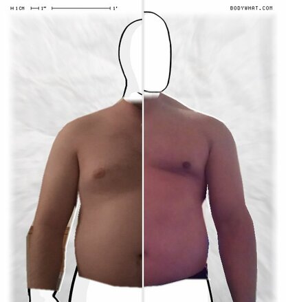 Torso Comparison