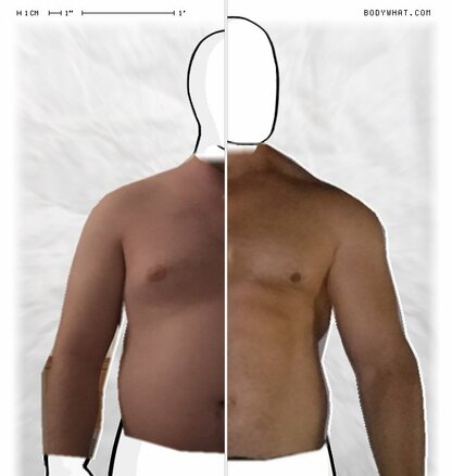 Torso Comparison