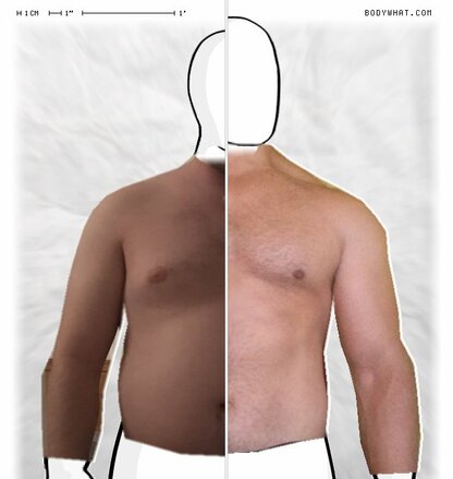 Torso Comparison