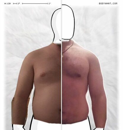 Torso Comparison