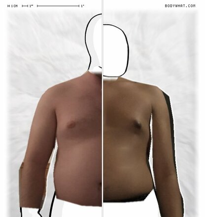 Torso Comparison