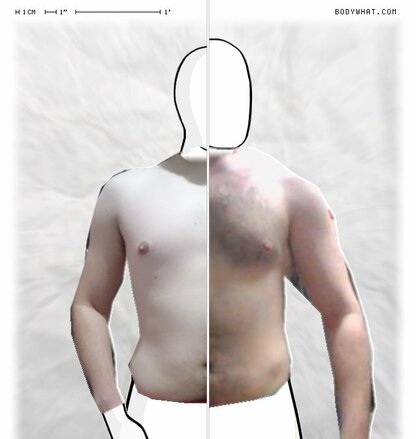 Torso Comparison