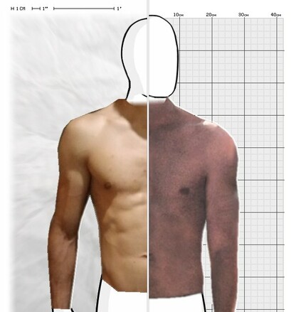 Torso Comparison