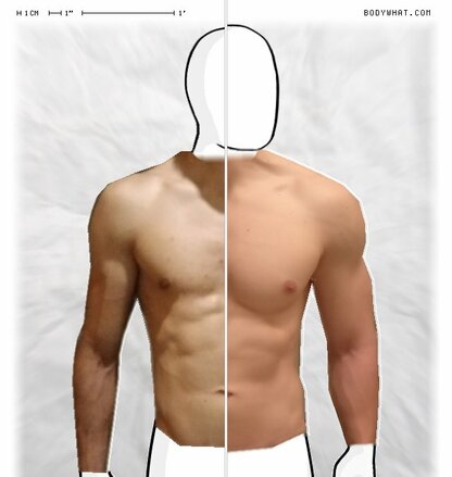 Torso Comparison