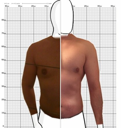 Torso Comparison