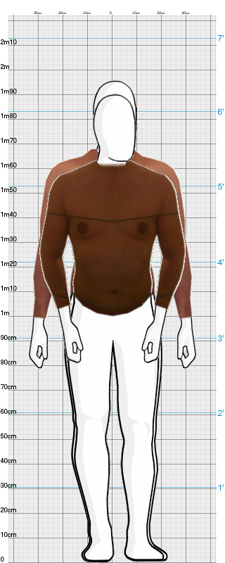 Full Size Comparison