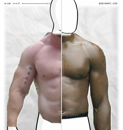 Torso Comparison