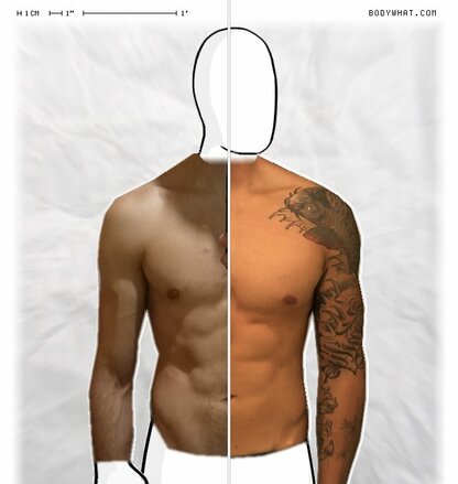 Torso Comparison