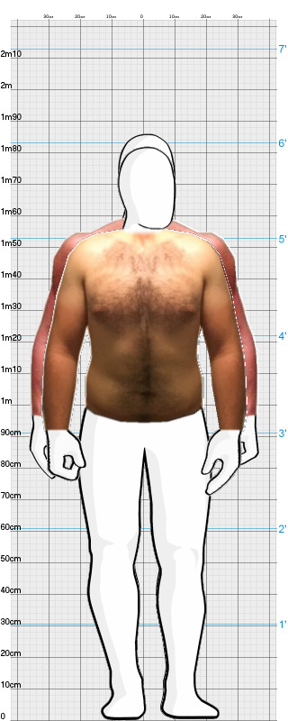 Full Size Comparison