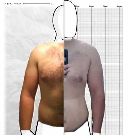 Torso Comparison