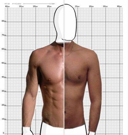 Torso Comparison