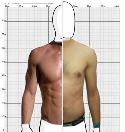 Torso Comparison