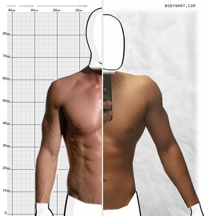 Torso Comparison