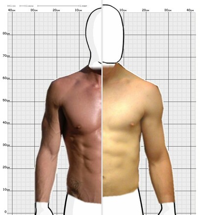 Torso Comparison