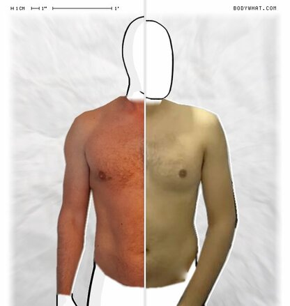 Torso Comparison