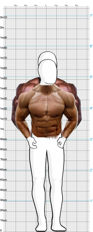 Full Size Comparison