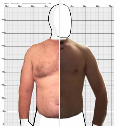 Torso Comparison