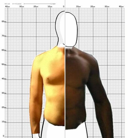 Torso Comparison