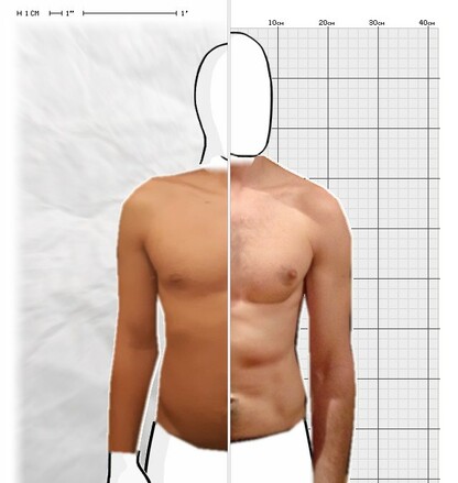 Torso Comparison