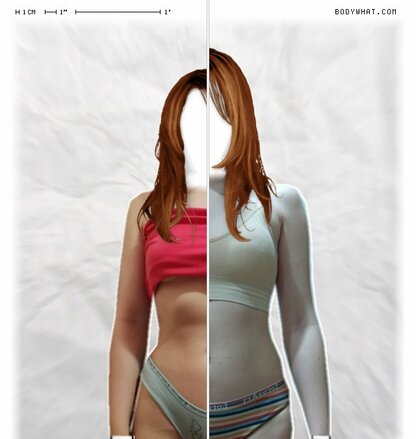 Torso Comparison